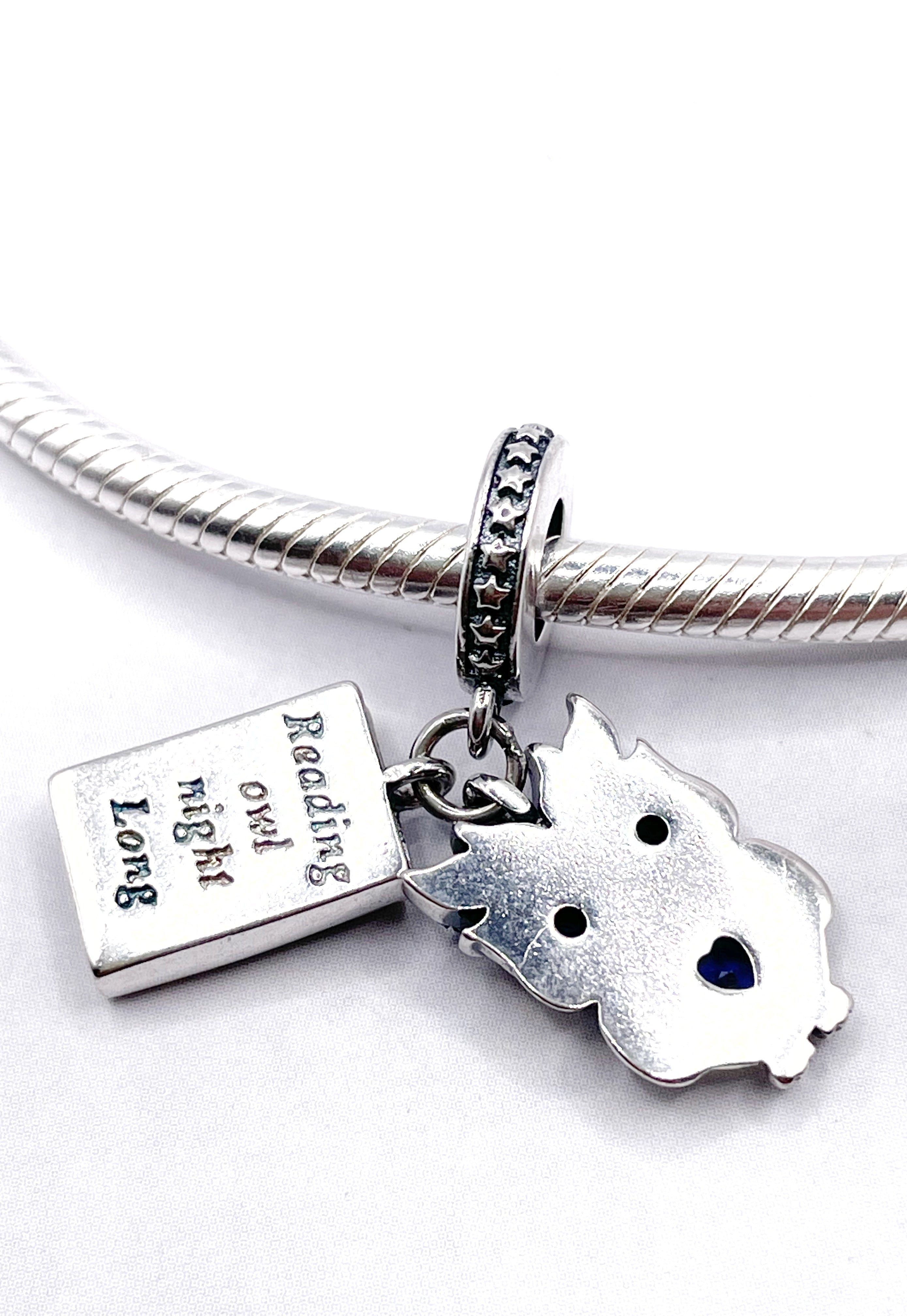 Charm Búho azul y libro “Búho que lee toda la noche”