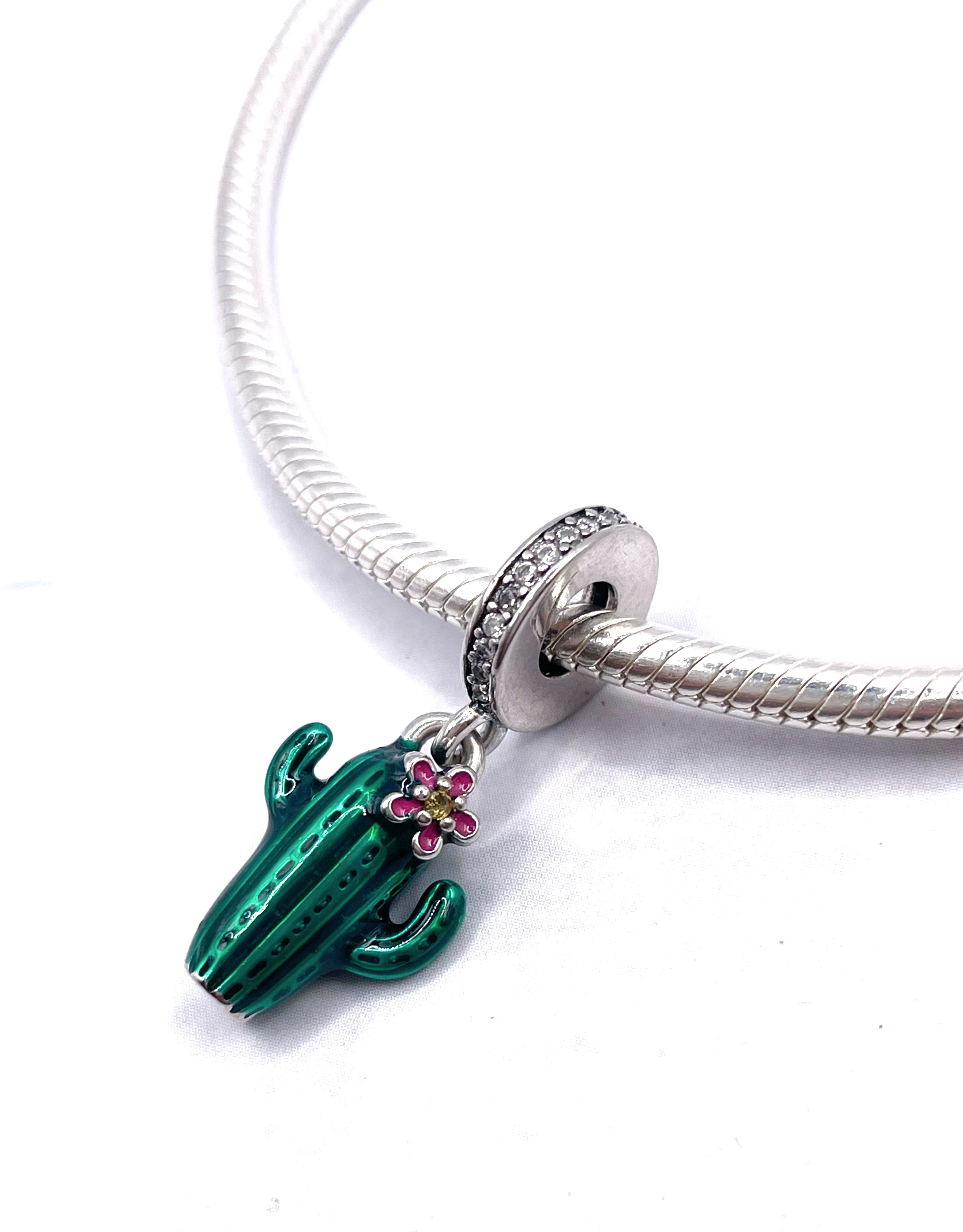 Charm Cactus con flor