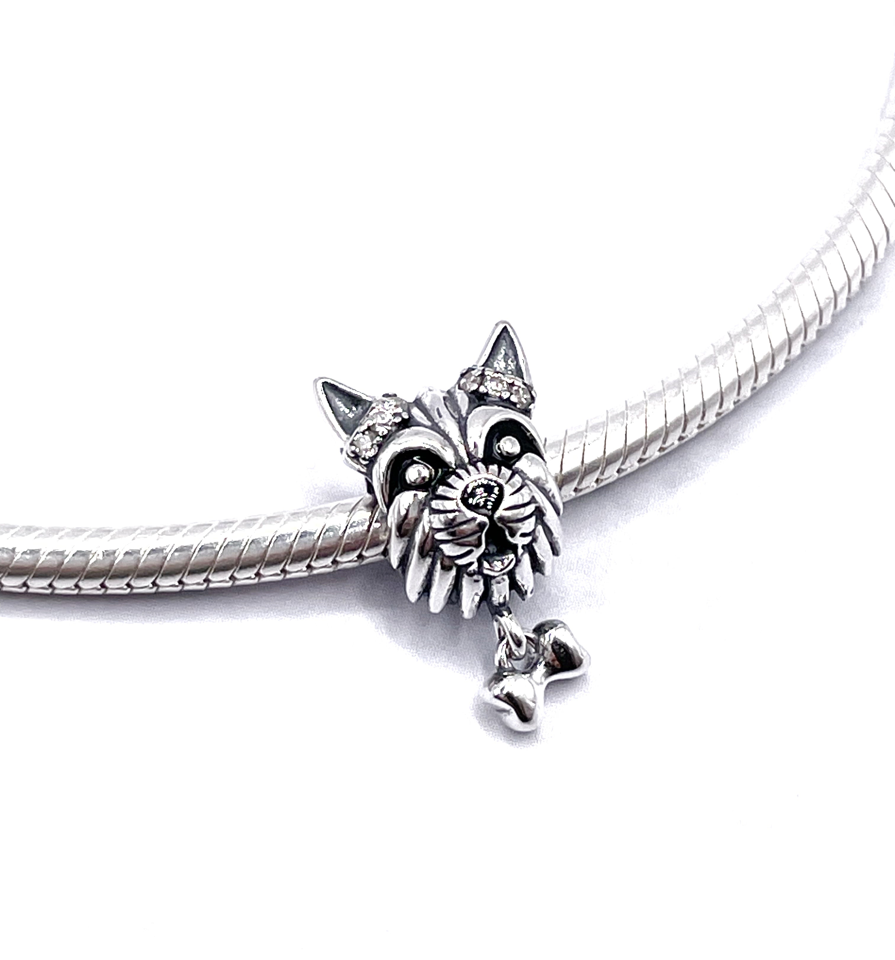 Charm Perro Yorkshire Terrier