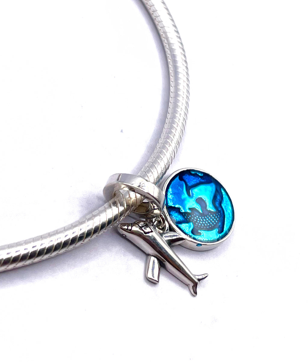 Charm Avión y mundo “Una vez al año, ve a algún lugar donde nunca hayas estado antes”