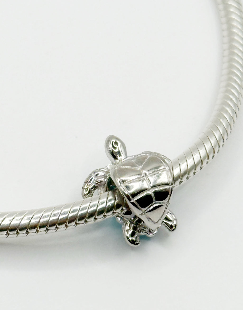 Charm Tortuga con piedra turquesa