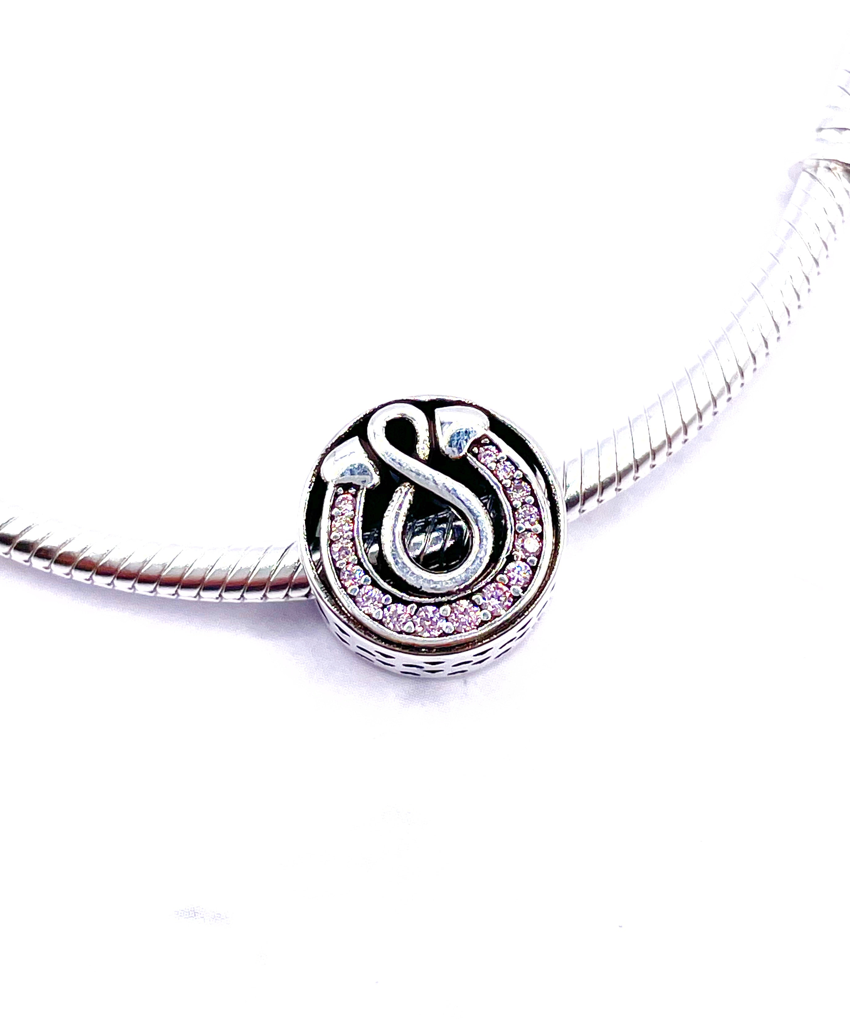 Charm Infinito y herradura