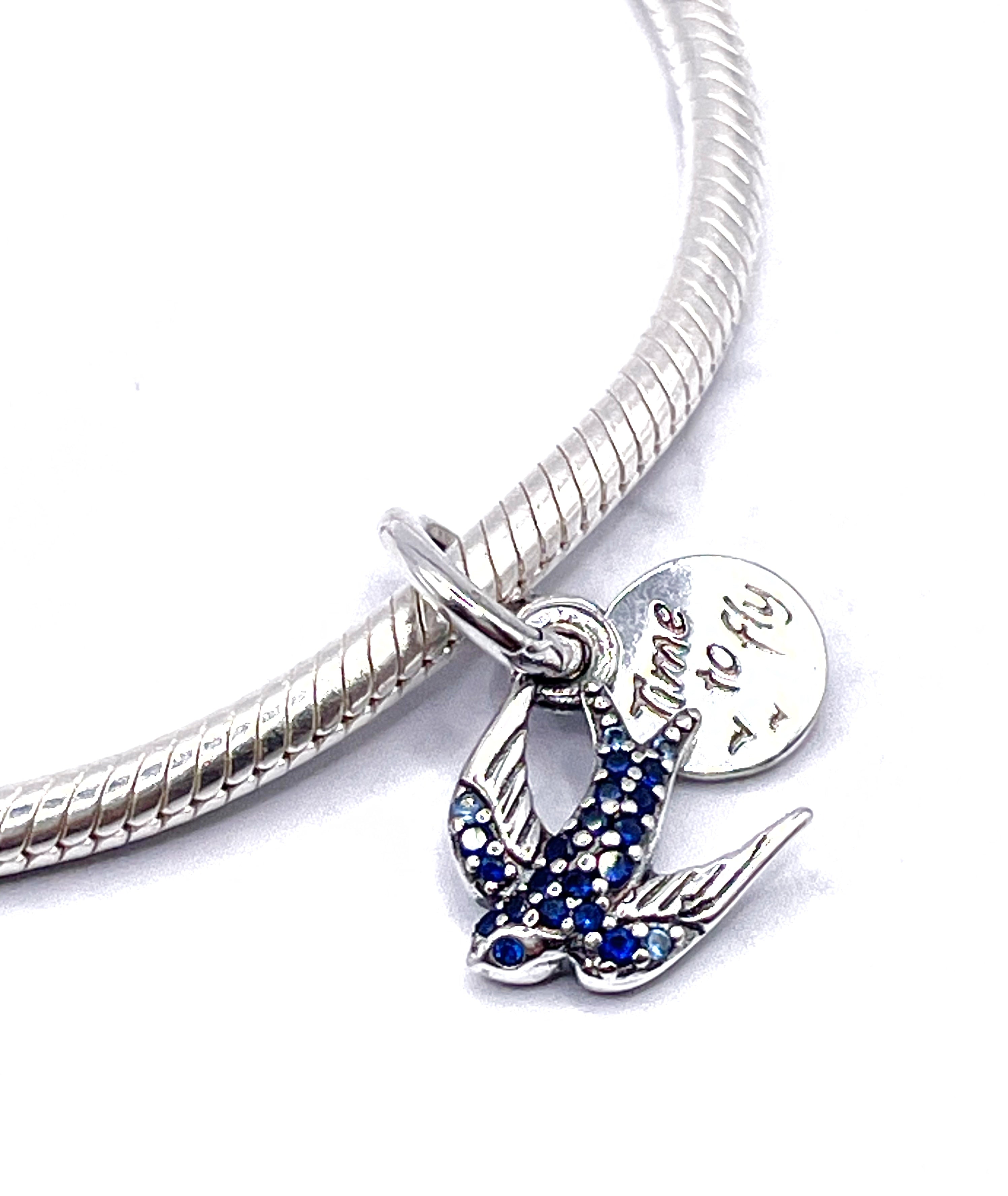 Golondrina azul “Hora de volar”